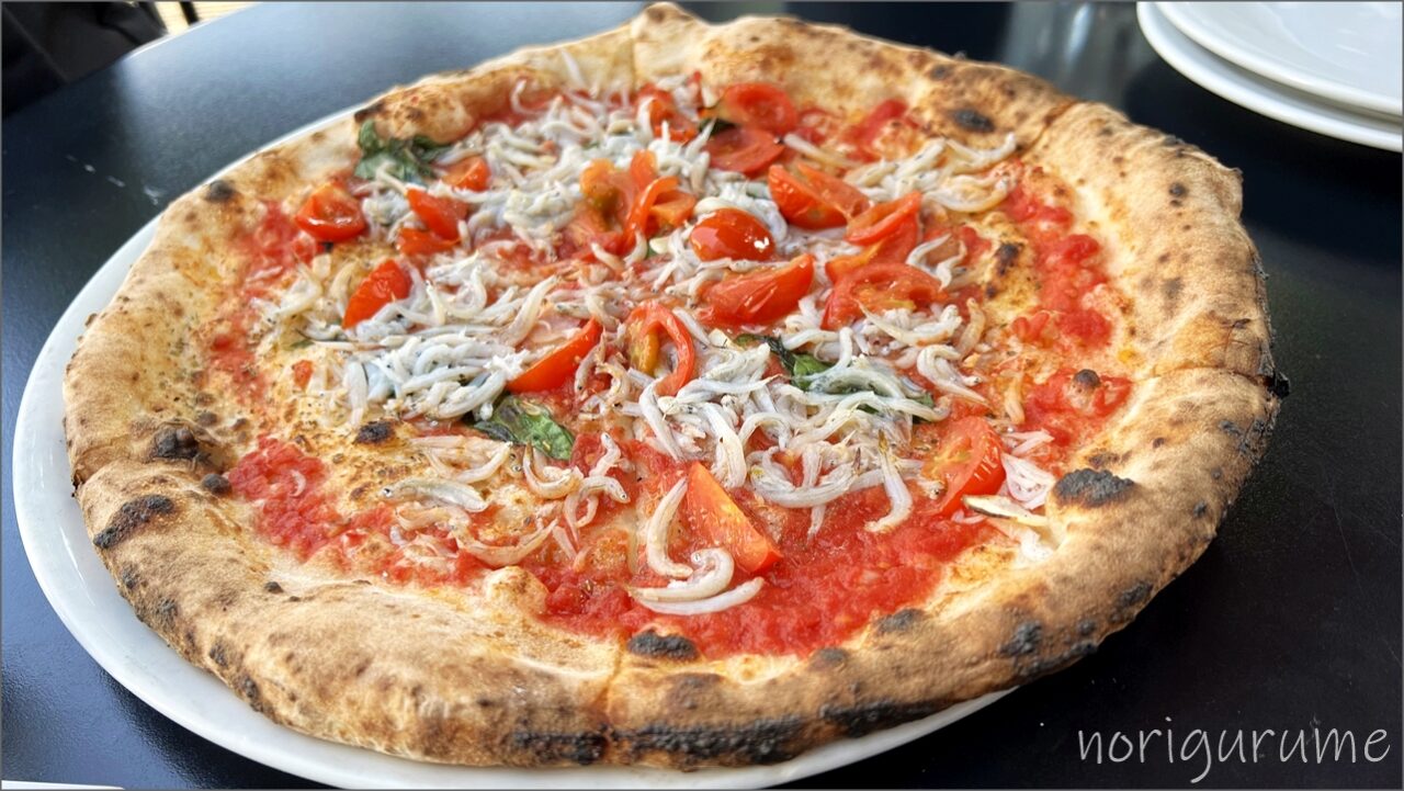 カンテラ 調布(CANTERA)のチチニエッリのピザはしらすとトマトのさっぱり感が美味しい大人なピザ【パスタレビュー･口コミ･感想】